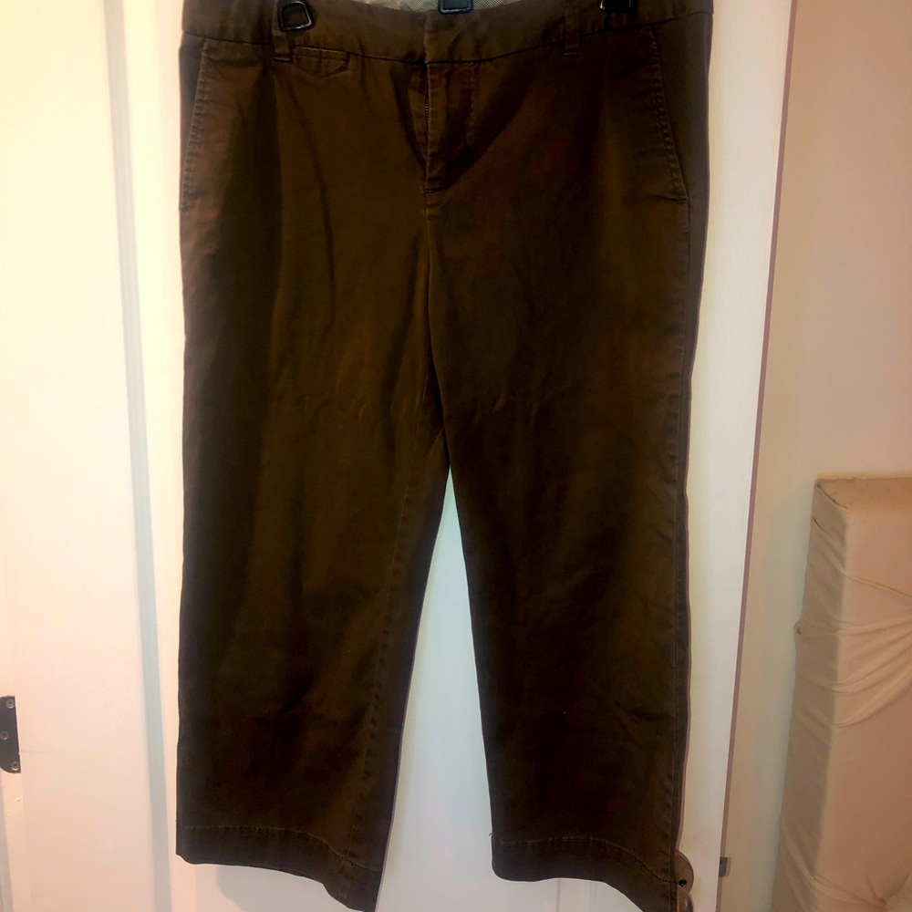 Gap Capri Pants